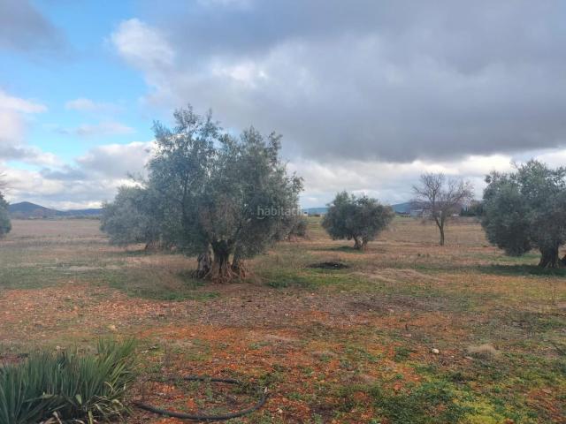 Casa Rural en venta en Argamasilla De Calatrava, Residencial los Encinares
