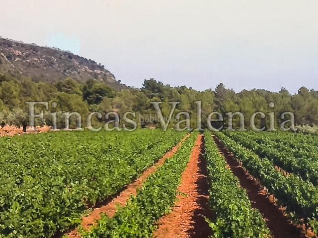Casa Rural en venta en l'Alt Palància, Valencia