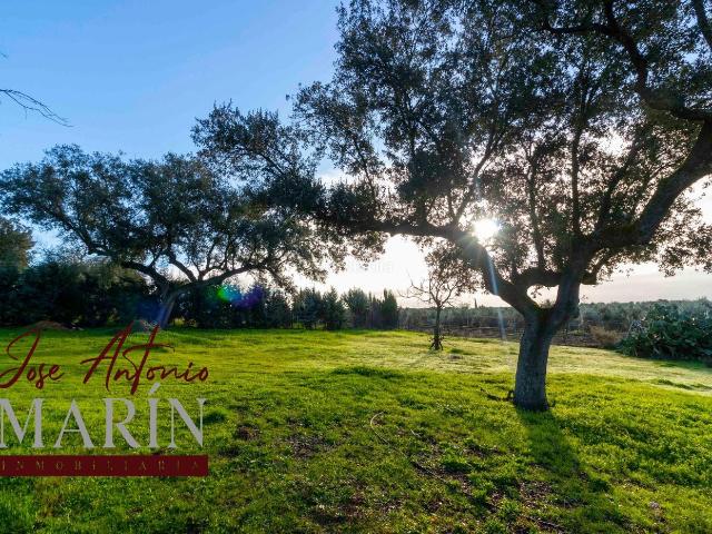 Casa Rural en venta en Casco Antiguo, Tierra de Badajoz