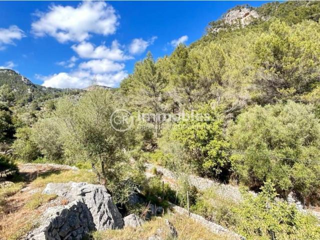 Casa Rural en venta en es Pontarró, Raiguer