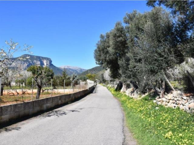 Casa Rural en venta en Lloseta, Baleares