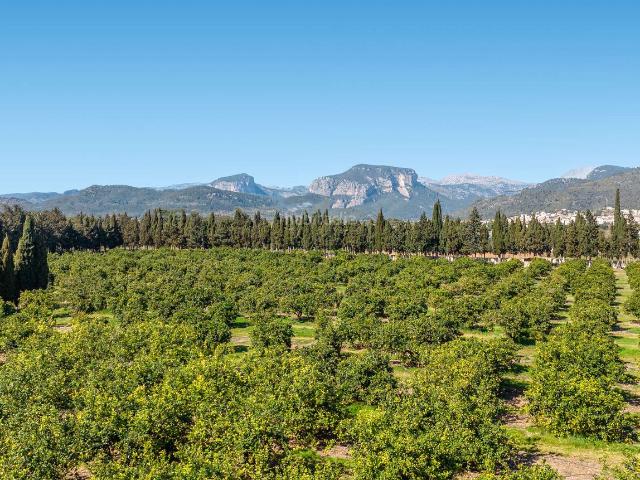 Casa Rural en venta en Raiguer, Baleares