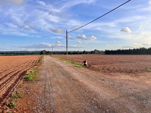 Casa Rural en venta en Pla de Mallorca, Baleares