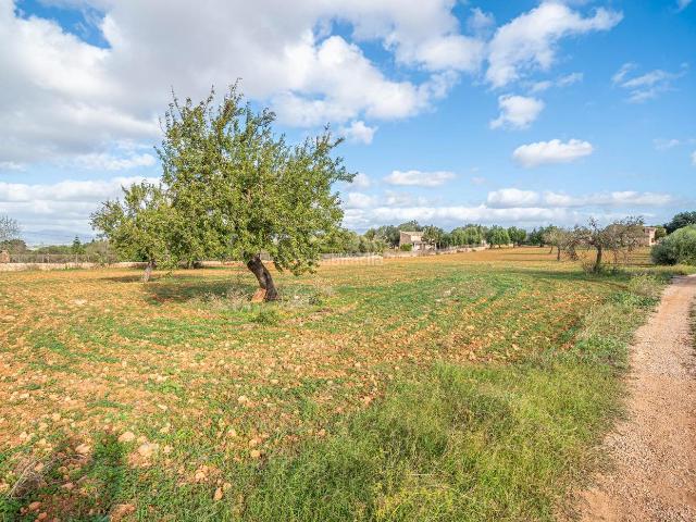Casa Rural en venta en s'Olivera, Palma