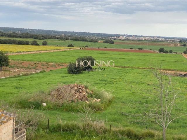 Casa Rural en venta en Son Ferriol, Palma