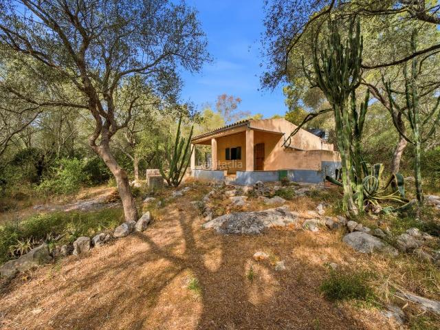Casa Rural en venta en Pla de Mallorca, Baleares