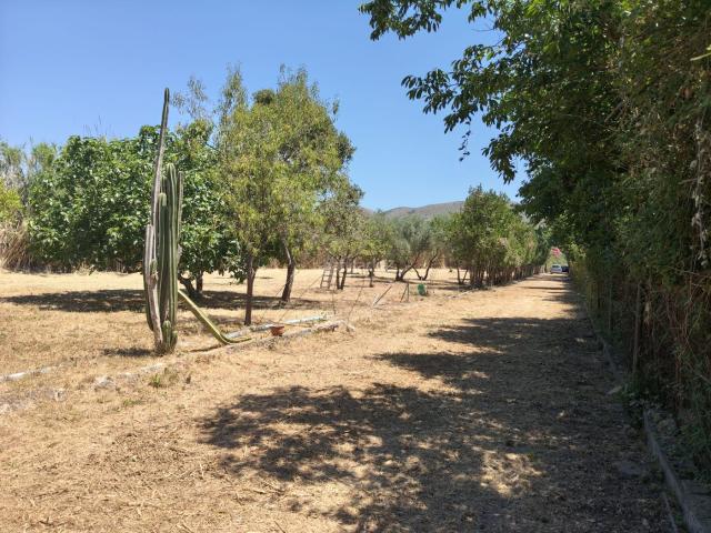 Casa Rural en venta en Pla de Mallorca, Baleares