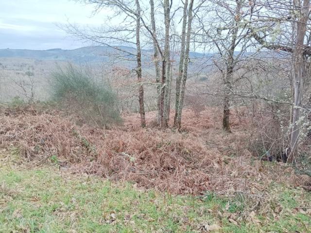 Casa Rural en venta en Os Ancares, Galicia