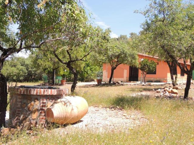 Casa Rural en venta en Belvís De La Jara, Castilla-La Mancha