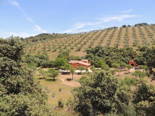 Casa Rural en venta en Belvís De La Jara, Castilla-La Mancha