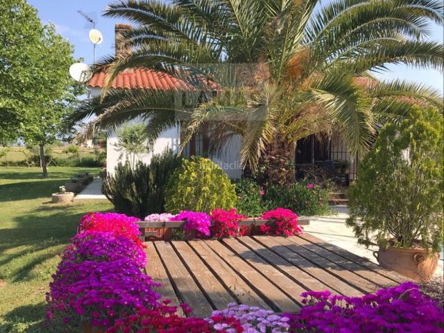 Casa Rural en venta en Belvís De Monroy, Extremadura