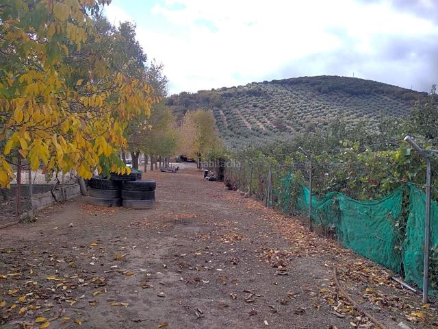 Casa Rural en venta en Comarca de Los Montes, Andalucía