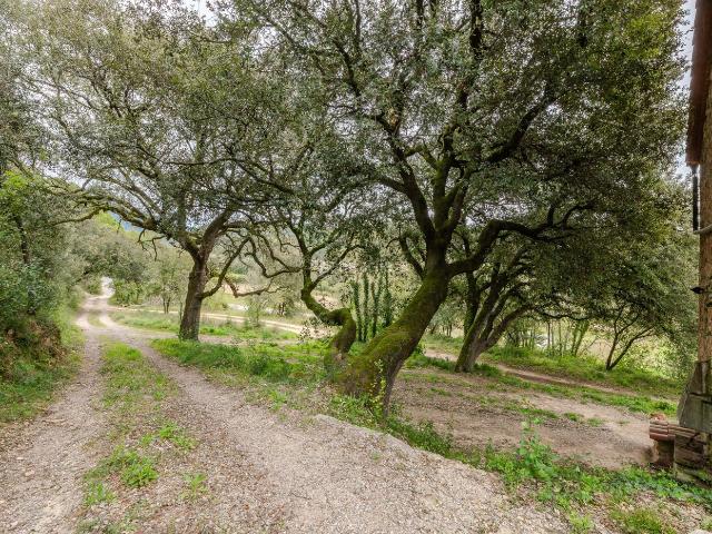 Casa Rural en venta en Garrotxa, Catalunya