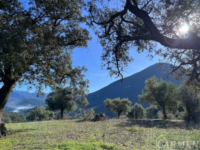 Casa Rural en venta en Sierra de Cádiz, Andalucía