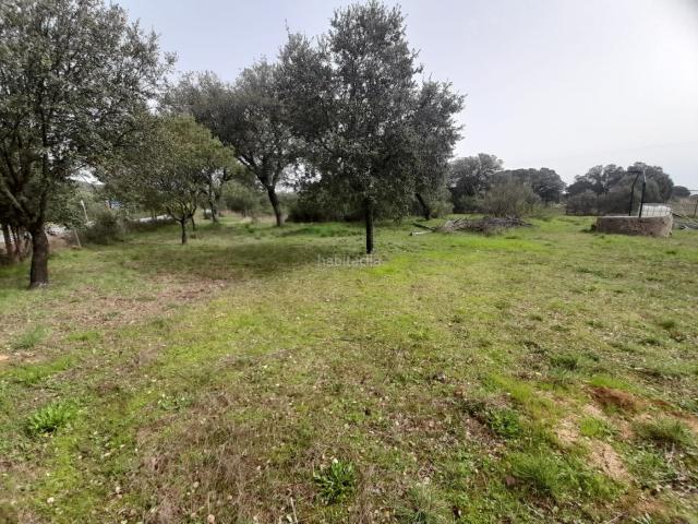 Casa Rural en venta en Brazatortas, Castilla-La Mancha