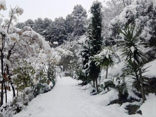 Casa Rural en venta en Sierra de las Nieves, Andalucía