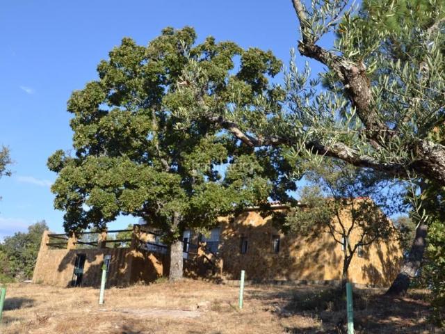 Casa Rural en venta en Cabeza La Vaca, Extremadura