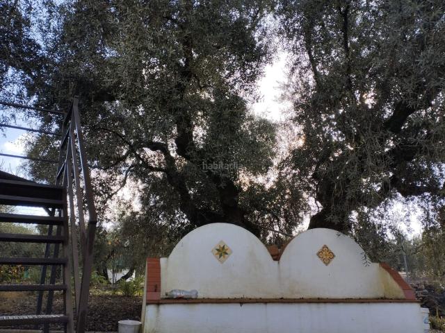 Casa Rural en venta en La Estación, Cabra