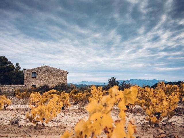 Casa Rural en venta en Caseres