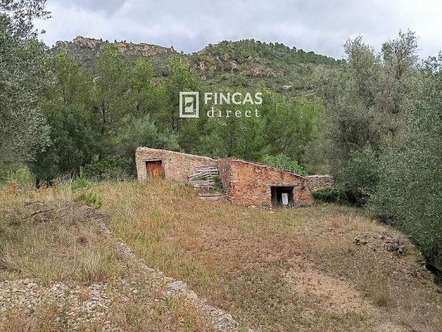 Casa Rural en venta en Alfara De Carles, Tarragona