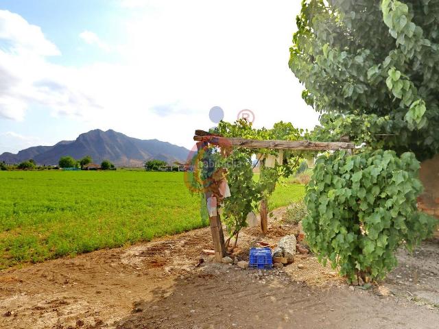 Casa Rural en venta en el Baix Segura / La Vega Baja, Valencia