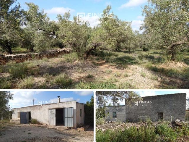 Casa Rural en venta en Camarles
