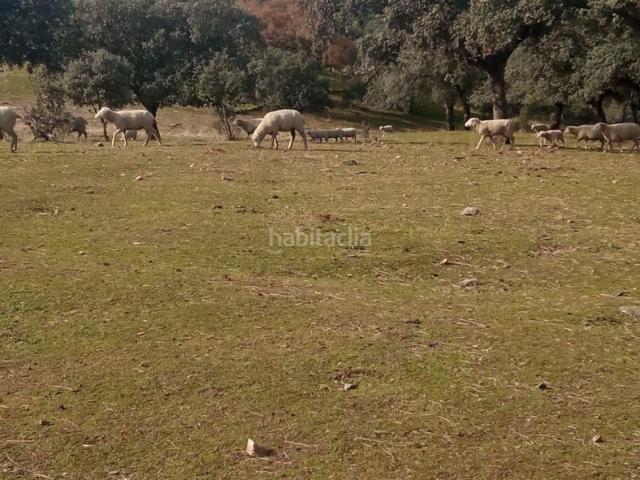 Casa Rural en venta en Cardeña, Andalucía