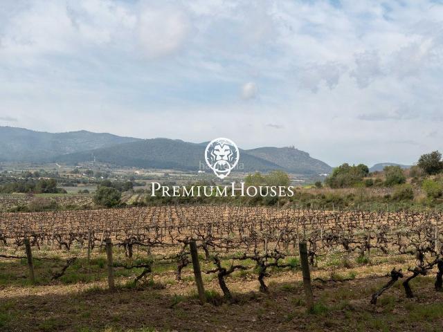 Casa Rural en venta en Alt Penedès, Catalunya