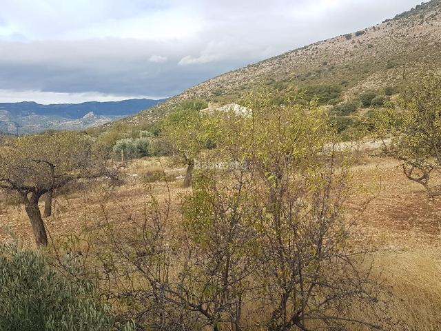 Casa Rural en venta en Comarca de Huéscar, Andalucía