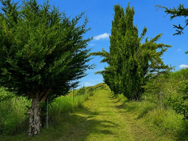 Casa Rural en venta en Castrillo De Riopisuerga, Castilla y León