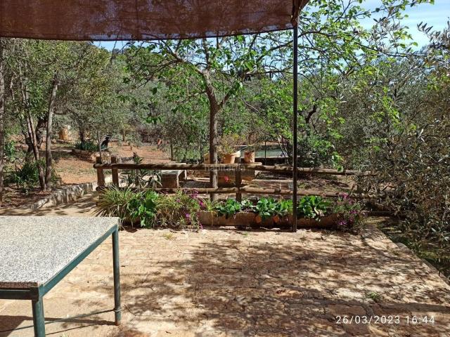 Casa Rural en venta en El Pedroso, Andalucía