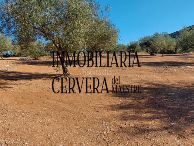 Casa Rural en venta en el Baix Maestrat, Valencia