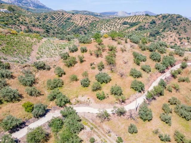 Casa Rural en venta en La Axarquía, Andalucía