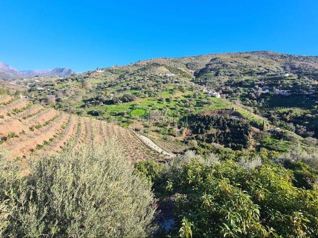 Quinta en venta en Cómpeta