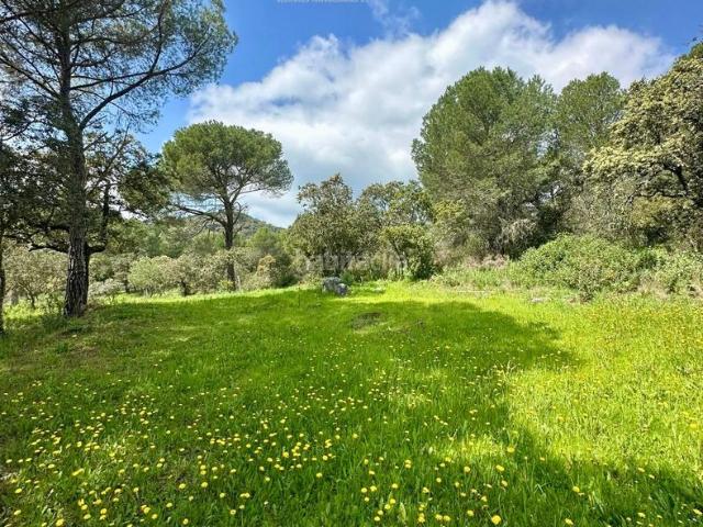 Casa Rural en venta en Distrito Centro, Córdoba