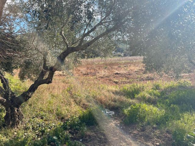 Casa Rural en venta en Cubelles