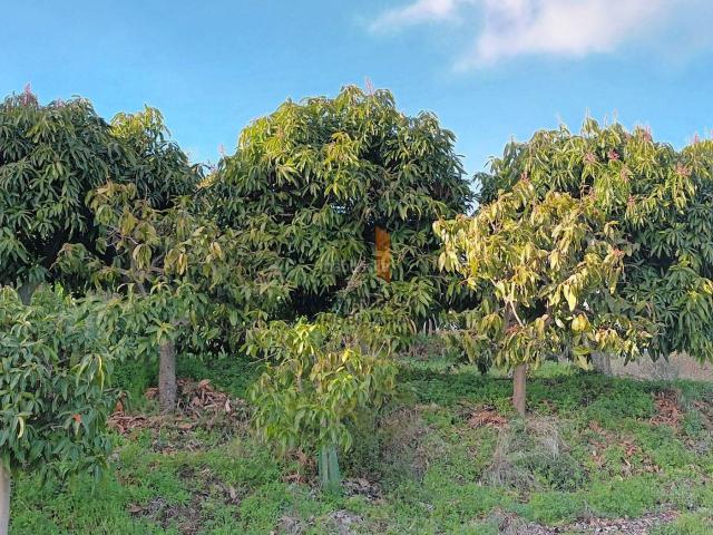 Casa Rural en venta en La Axarquía, Andalucía