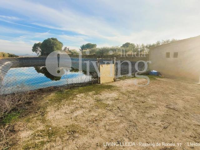 Casa Rural en venta en Bajo Cinca / Baix Cinca, Aragón