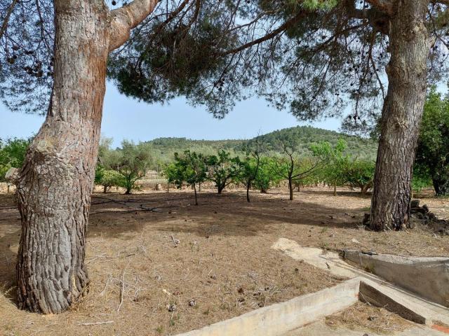 Casa Rural en venta en Montsià, Catalunya