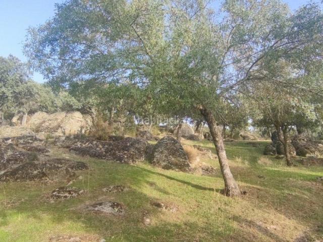 Casa Rural en venta en Galapagar, Canteros