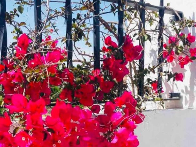 Casa Rural en venta en la Safor, Valencia