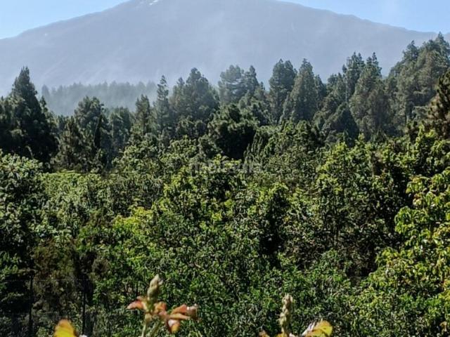 Casa Rural en venta en Garachico, Canarias