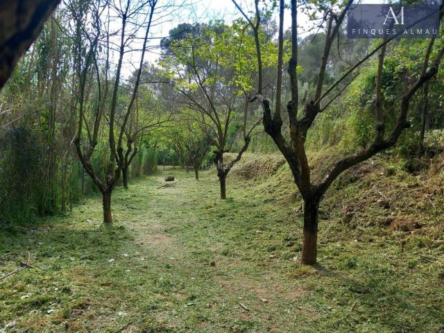 Casa Rural en venta en Alt Penedès, Catalunya