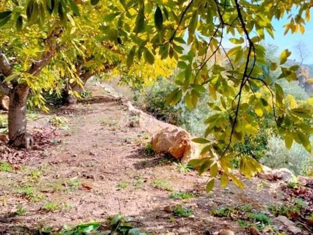 Casa Rural en venta en Comarca de la Costa Granadina, Andalucía