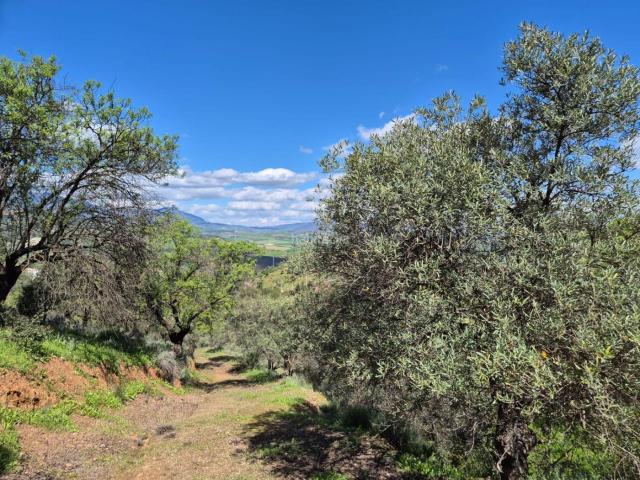 Casa Rural en venta en Guaro, Málaga