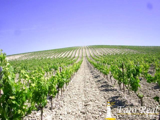 Casa Rural en venta en San Marcos, Campiña de Jerez