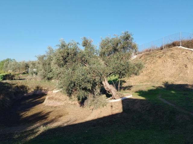 Casa Rural en venta en Sierra Suroeste, Extremadura