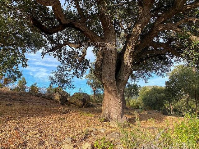 Casa Rural en venta en Alt Empordà, Catalunya