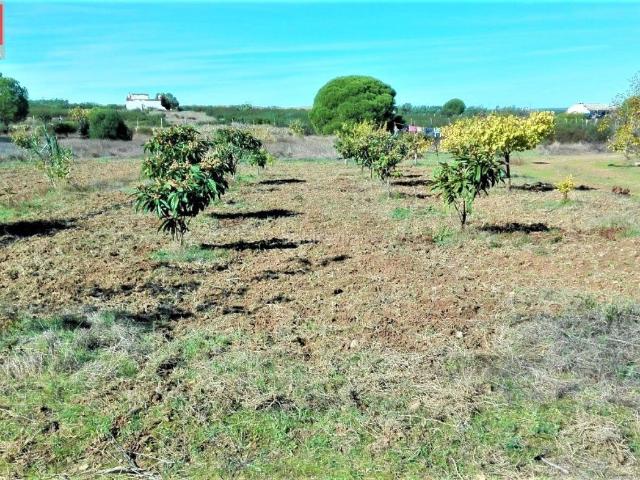 Casa Rural en venta en Costa Occidental, Andalucía