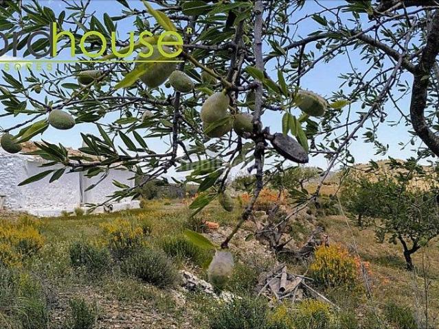 Casa Rural en venta en Virgen de las Huertas, Alto Guadalentín